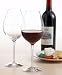 Orrefors Difference Primeur Wine Pair