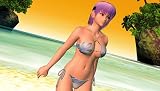 Dead or Alive Paradise (PSP the Best) [Japan Import]