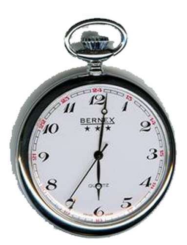 Bernex Herrenuhr Quarz GB21202