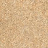 東リ クッションフロアP リノリュウム柄 色 CF4166 サイズ 182cm巾×1m 【日本製】