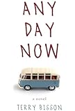 Any Day Now: A Novel