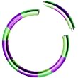 16 Gauge 5/16 Green Purple Anodized Titanium Segment Ring