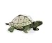 Folkmanis Puppet Tortoise