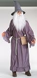 Lord of the Rings Gandalf Adult Costume