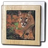 Florida Rare Panther - 6 Inch Tile Napkin Holder