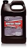 Penray Winter Thaw Emergency Diesel Fuel Treatment