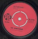 IS IT BECAUSE 7 INCH (7" VINYL 45) UK PYE 1964