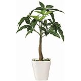 ���i�̏ڍ�