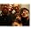 Miniaturansicht von The Decemberists