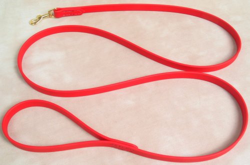 Red Dog Leash 6 Foot Beta Biothane