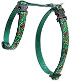 LupinePet 1/2-Inch Beetlemania H-Style Small Pet Harness, 12 to 20-Inch