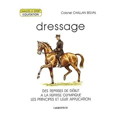 Dressage