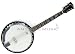 Musical Instruments : Tyler Mountain Banjitar - 6 String Guitar/Banjo Hybrid