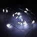 SUPERNIGHT (TM) 7ft/2m 20 LEDs Cool White Pentagram Potted plants Copper LED Strings AA Battery Powered Ultra Thin String Lights Wire Portable Christmas Trees Lighting Decorative LED Strings