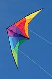 Into The Wind Cadet Stunt Kite