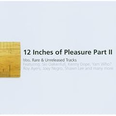Twelve Inches of Pleasure Vol.2