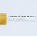 Twelve Inches of Pleasure Vol.2