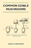 Common Edible Mushrooms