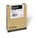 Epson T605100 UltraChrome K3 110ml Photo Black Cartridge (T605100)