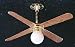 416xKJpsx L. SL75  Hunter Fan Dreamland Ceiling Fan   44
