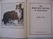 Th Border Collie in Australasia