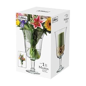 1 pc Maria Footed Goblet Set by Libbey