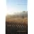 Together, Alone: A Memoir of Marriage and Place