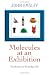 Molecules at an Exhibition: Portraits of Intriguing Materials in Everyday Life
