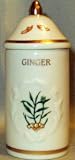 Ginger Botanical 'Spice Garden' Porcelain Spice Jar with Gold Trim by Lenox