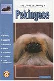 The Guide to Owning a Pekingese