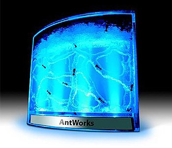 Glowing Fascinations AntWorks Ant Farm