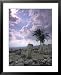Excavations of the Ancient Biblical City of Megiddo, Megido Framed Art Poster Print by Richard Nowitz, 25x31