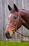 HDR Advantage Plain Raised Snaffle Bridle
