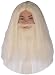 Gandalf Wig and Beard Set