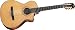 Taylor Guitars NS72-CE Grand Concert Acoustic Electric Classical Guitar