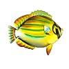 Tropical Fish Wall Decor - Bluestrip Butterfly Fish