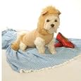 Dog Costume - Hoodie Lion Dog Costume - Small
