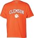 Clemson Tigers Kids/Youth Perennial T-Shirt