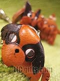 * JAPANESE CHIN * 3D Dog Leather Japanese Cell Phone Charms VANCA Craft Petit Mini Mascot 416zaDJZNAL. SL160 * JAPANESE CHIN * 3D Dog Leather Japanese Cell Phone Charms VANCA Craft Petit Mini Mascot