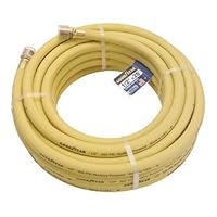 Goodyear 46561 1/2-Inch by 25-Foot 300 PSI Rubber Air Hose