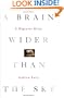 A Brain Wider Than the Sky: A Migraine Diary