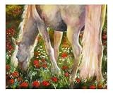 White Stallion Grazing in Poppy Field Emerging Artists Giclee Poster Print by Ginette Callaway_Horses, 10x8