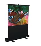Mustang SC-P80D4:3 80-Inch Portable Projection Screen, Matte White