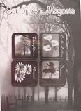 Set of 4 Magnets with These Words, Calla Lillies, Dream, Thoughts and Daisies, New and Sealed, 2005