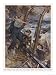 Bulldog Rescued Animals Giclee Poster Print by Cyrus Cuneo, 18x24