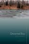 Drowned Boy: Stories (Mary McCarthy Prize in Short Fiction)