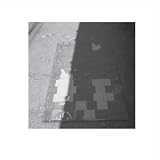PHOTOGRAPHS 画像