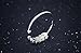 SmallDragon Women's 925 Sterling Silver Cubic Zirconia Leaf Tail Ring (Adjustable)