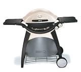 Weber Q300 Stationary Gas Grill