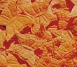 Butterfly Shaped Silk Rose Petals Wedding Favors - 200 Ct - Orange